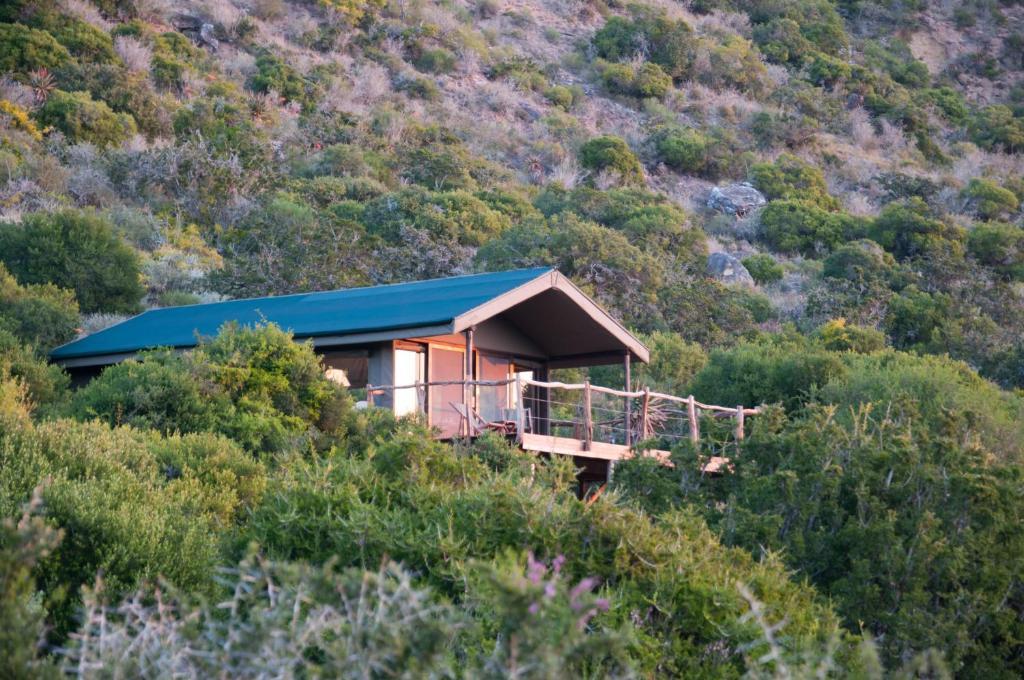 Hillsnek Safari Camp - שמורת הטבע אמקאלה חדר תמונה