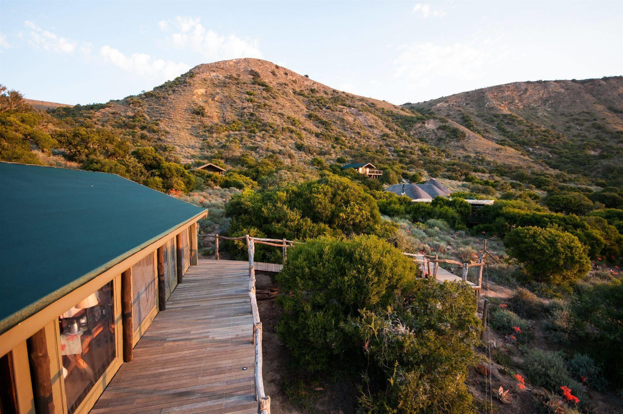 Hillsnek Safari Camp - שמורת הטבע אמקאלה מראה חיצוני תמונה